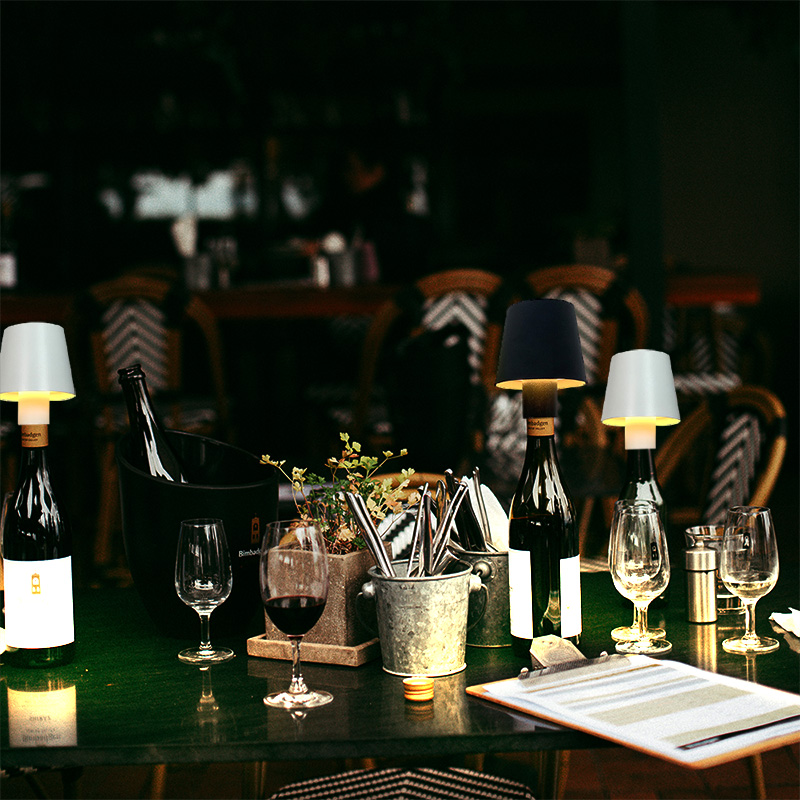 Huisdecoratie Dimbare Oplaadba - Wine & Beer Hydrometer recensie en prijs